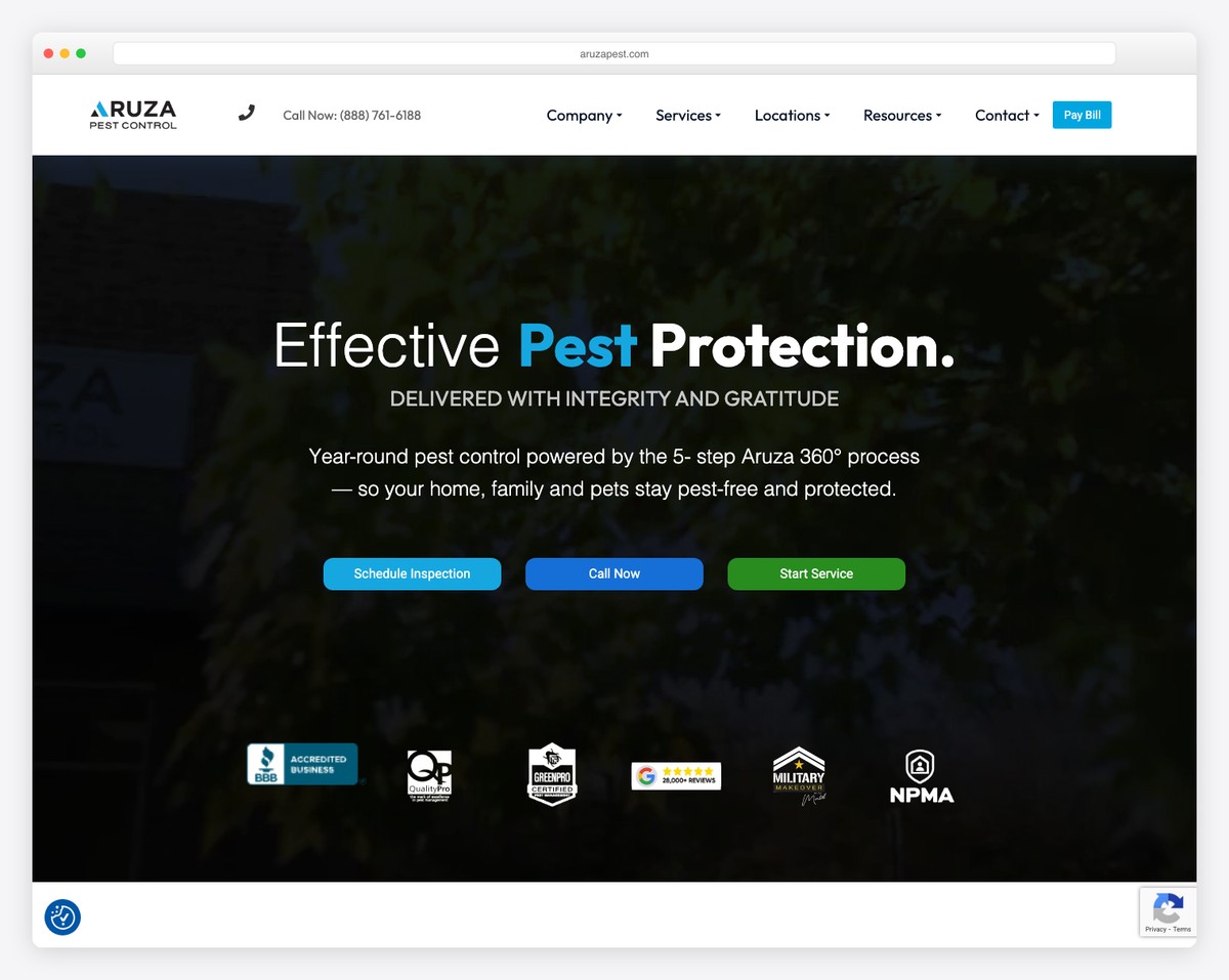 aruza pest control website example