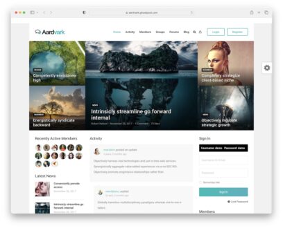 community wordpress themes