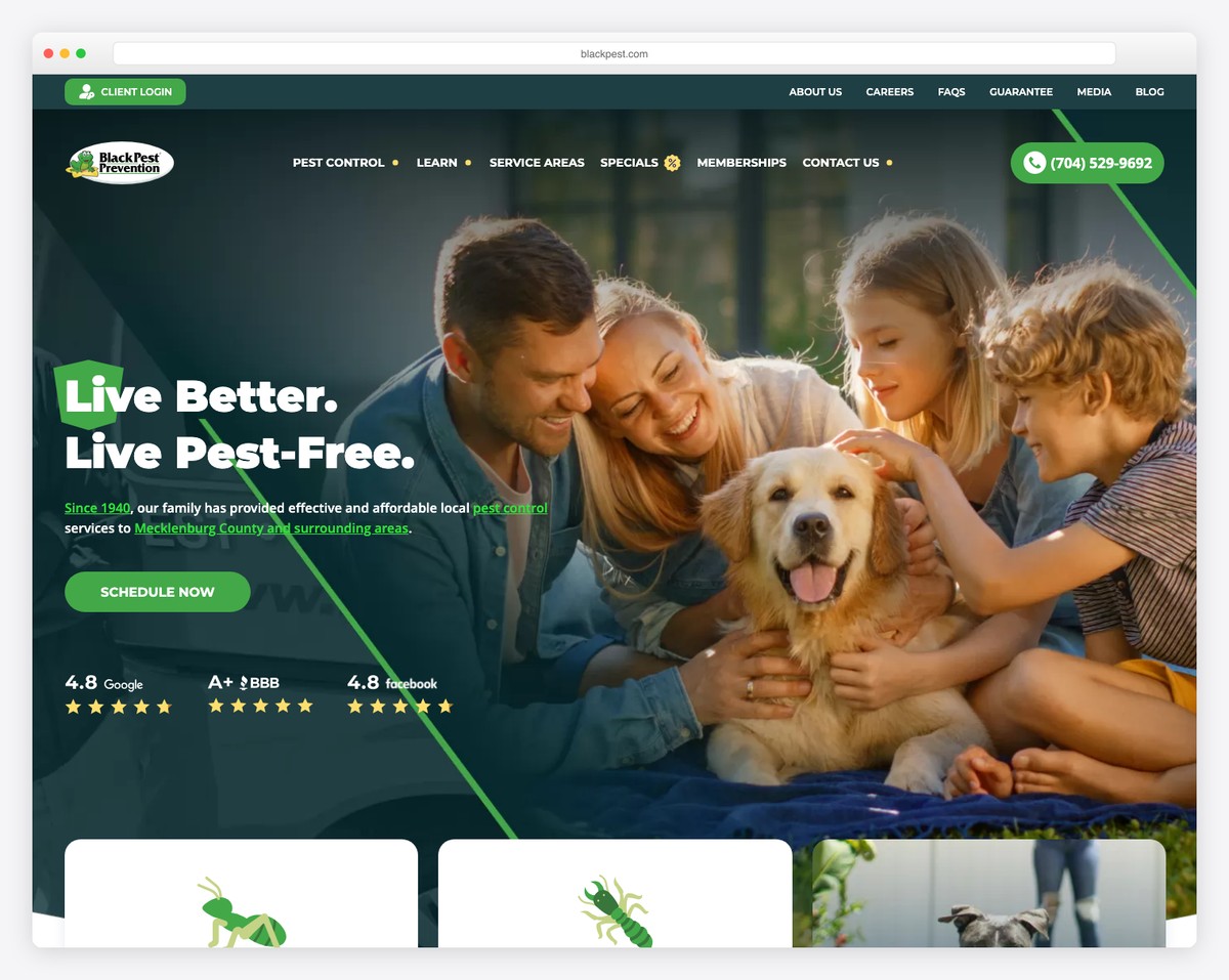black pest prevention website example