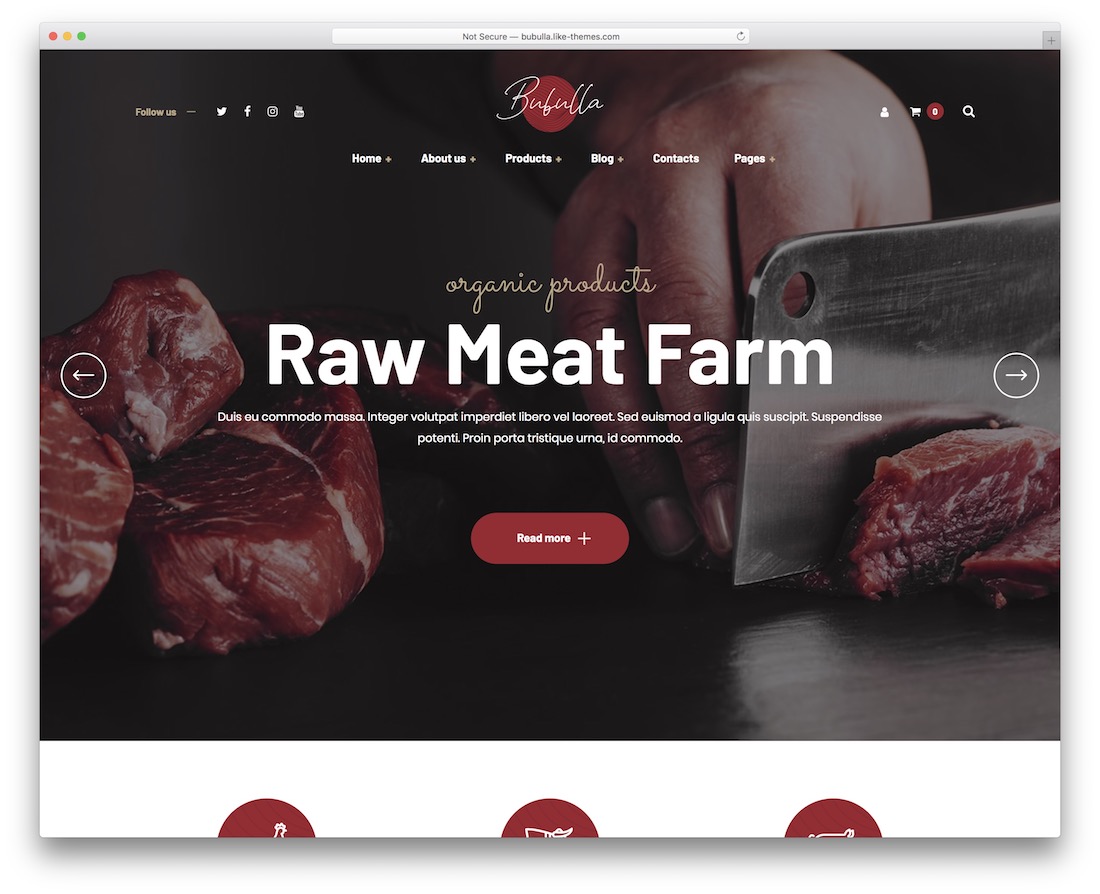 bubulla food website template