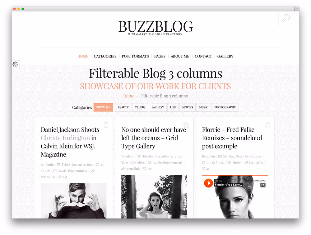 buzzblog blogging theme