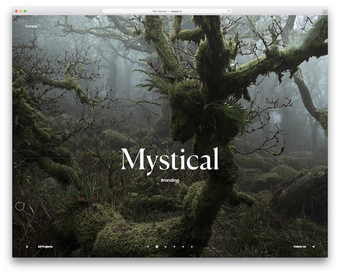 canela video background wordpress theme