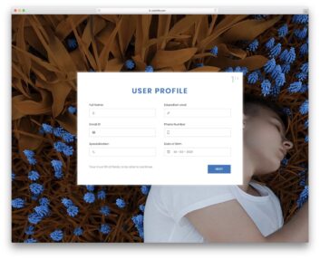 colorlib free wizard 9