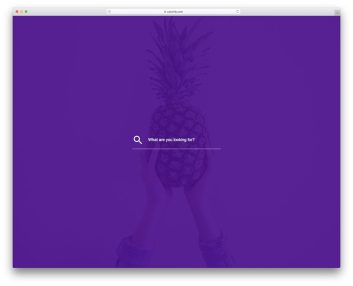colorlib search form 22