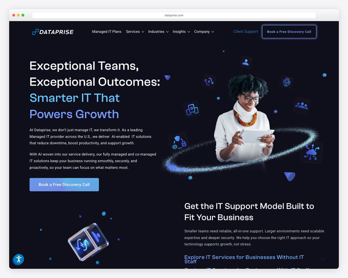 dataprise website example