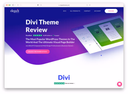 divi theme review