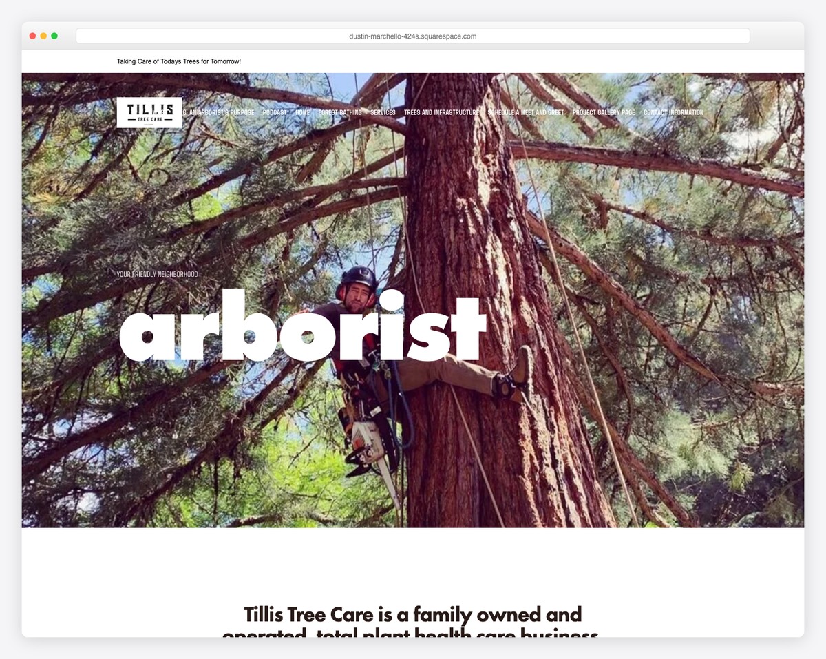 tillis tree care website example
