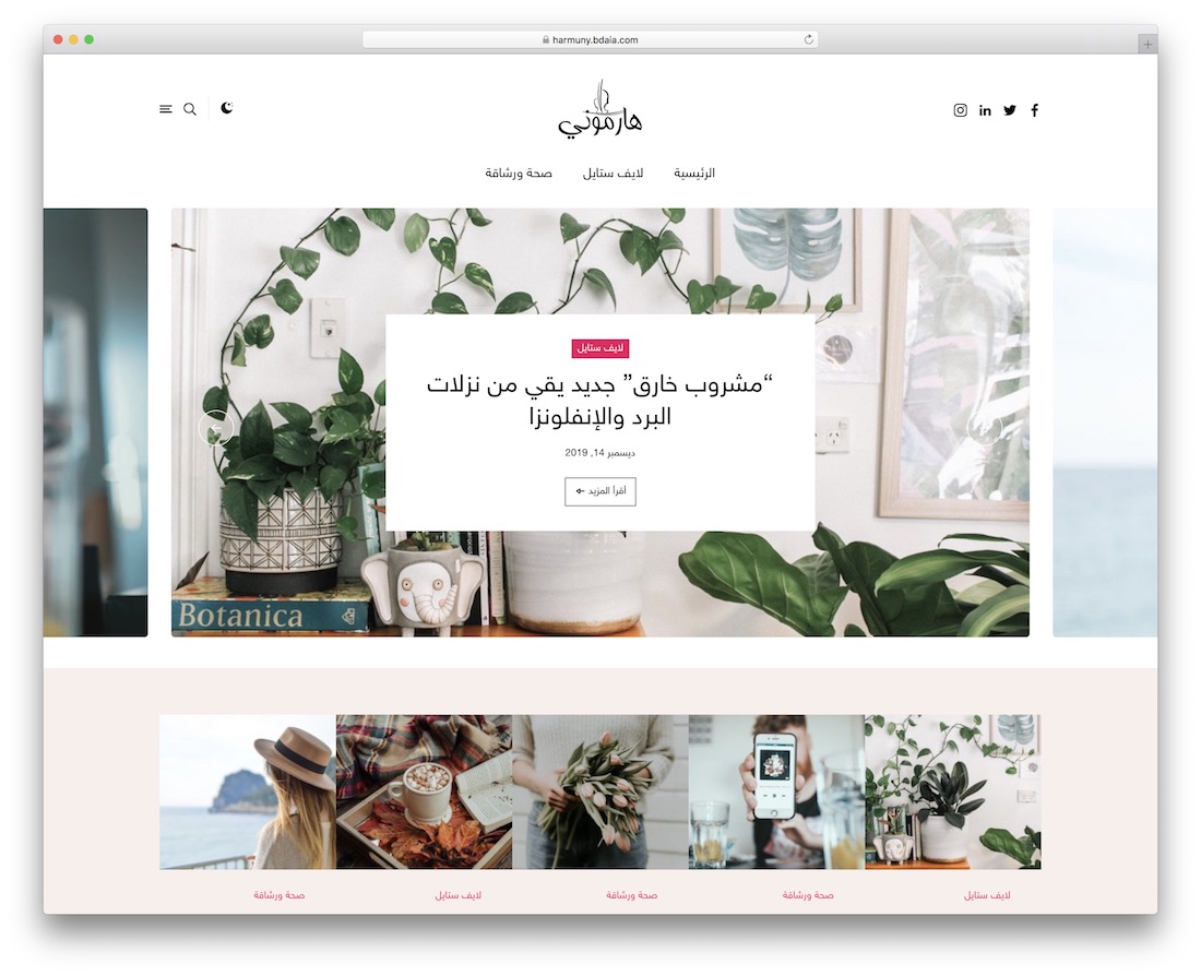 harmuny rtl wordpress theme
