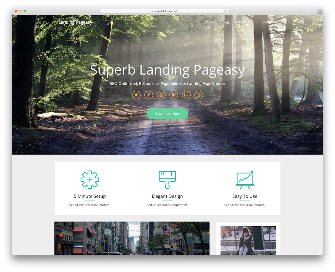 landing pageasy free wordpress theme