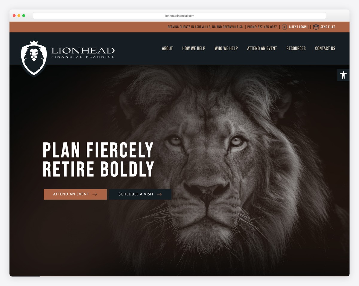 lionhead financial planning website example