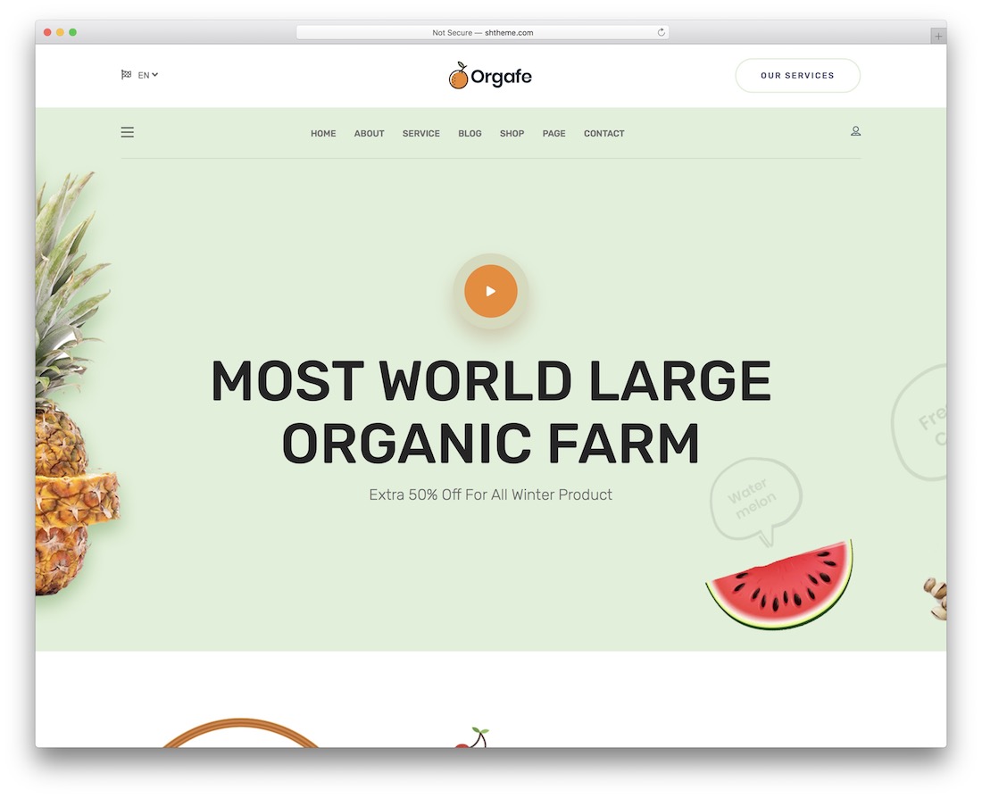 orgafe food website template