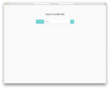 search form bar 05