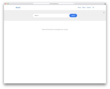 search form / bar 17