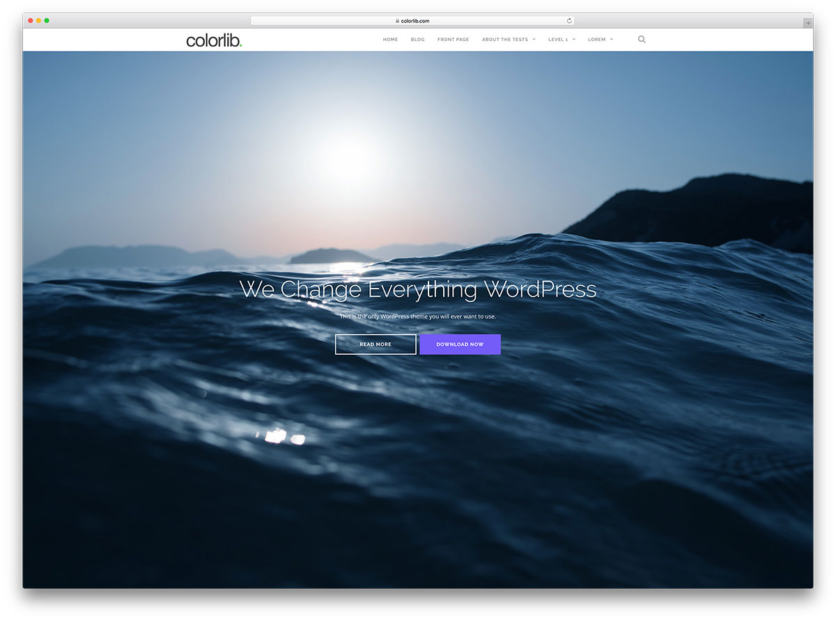 best free wordpress theme