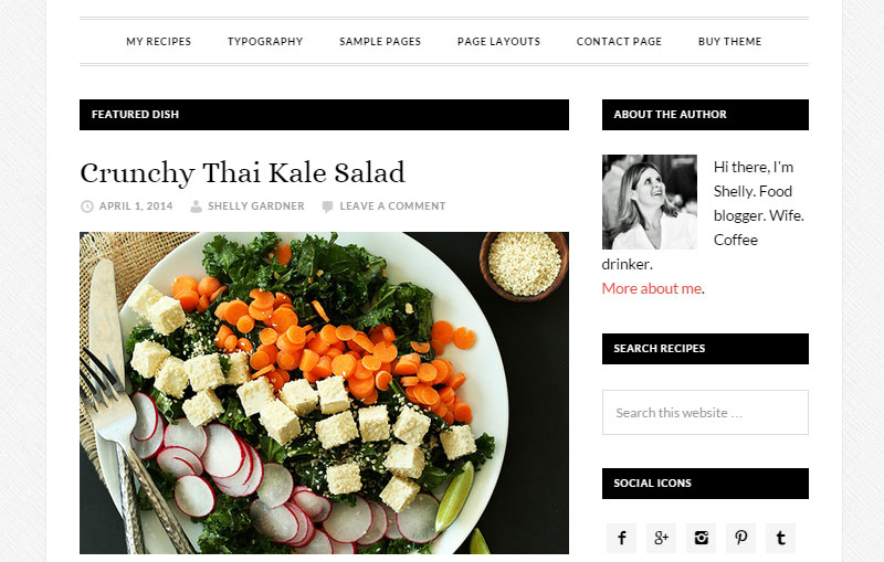 Start a Food Blog Daily Dish Genesis