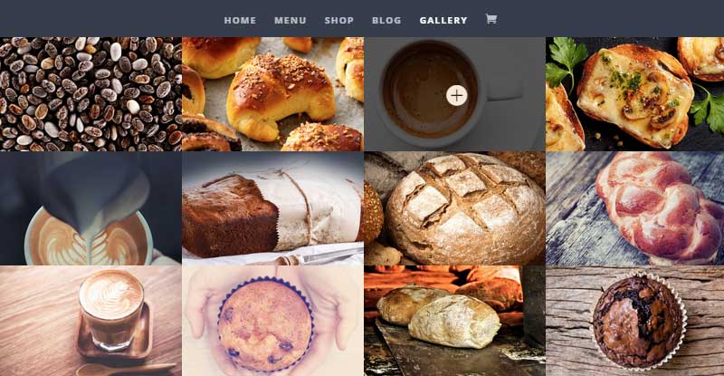 Start a Food Blog Divi