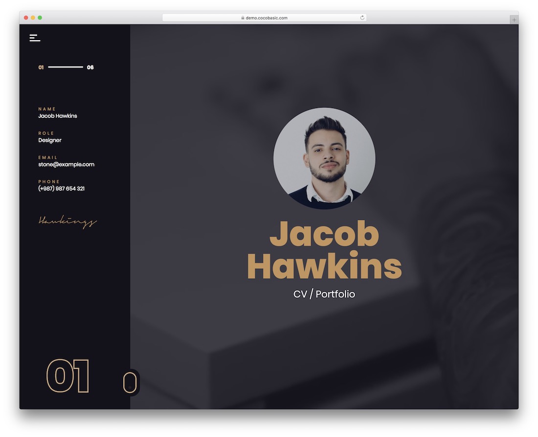 volos wordpress theme video background