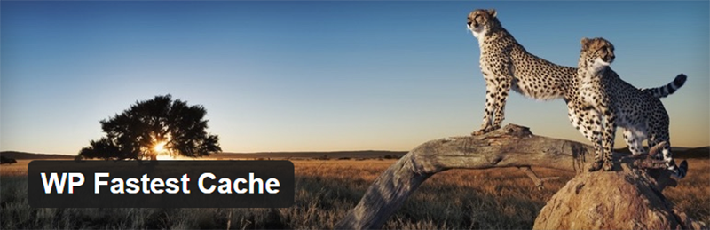 FastestCacheHeader