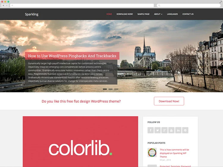 Sparkling - Business Theme